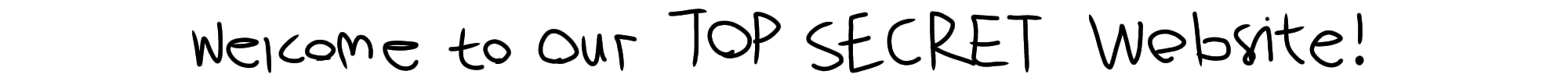 Welcome to our TOP SECRET Website!